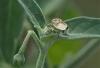 264447 – Photo : Sandor31 – France (31)
