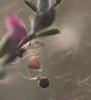 264953 – Photo : Ugoline GODEAU – France (45)