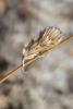 265392 – Photo : florent besson – France (18)