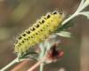 265545 – Photo : éric Pensa – France (13)