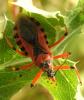 265207 – Photo : Antoinette Fleixas – France (21)