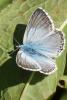 265561 – Photo : Bernard Saquet – France (12)