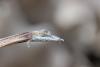 265945 – Photo : Simon Thevenin – France (04)
