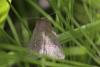265403 – Photo : Marc Solari – France (68)