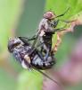 265347 – Photo : Jean-Michel GAREL – France (89)