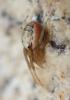 265926 – Photo : Catherine Reymonet-Smitten – France (19)