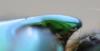 265725 – Photo : Christian Berquer – Philippines