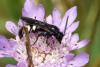 265322 – Photo : Kilien de Chateauvieux – France (20)