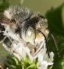 265454 – Photo : éric Pensa – France (13)