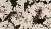 265026 – Photo : éric Pensa – France (13)