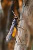 266803 – Photo : Didier Houbrechts – Belgique