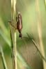 266636 – Photo : Mathurin CARNET – France (13)