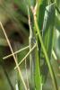 266631 – Photo : Mathurin CARNET – France (13)
