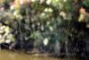 266408 – Photo : roy – France (85)