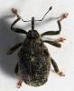 266281 – Photo : Cédric Mondy – France (94)