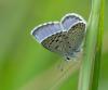 266866 – Photo : Kilien de Chateauvieux – France (20)