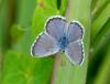266867 – Photo : Kilien de Chateauvieux – France (20)
