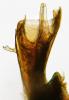 266576 – Photo : Guillaume JACQUEMIN – France (74)