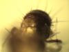 267319 – Photo : Andre Astric – France (68)