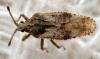 267995 – Photo : André Burgers – Espagne
