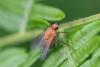 267877 – Photo : Pierre Duhem – France (29)
