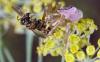 267374 – Photo : Paul Vignac – France (20)