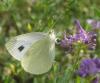 267253 – Photo : Axel Dehalleux – France (75)