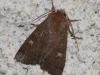 267690 – Photo : michel Aubailly – France (18)