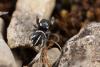 267401 – Photo : Jessica Joachim – France (82)