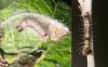 267631 – Photo : éric Pensa – France (13)