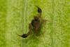 267815 – Photo : jean marc – France (84)