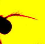 Eristalis arbustorum