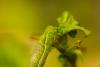 268431 – Photo : Pierre Duhem – France (75)