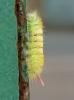 268622 – Photo : roy – France (85)