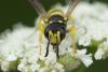 268047 – Photo : Jessica Joachim – France (34)