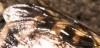 268288 – Photo : éric Pensa – France (13)