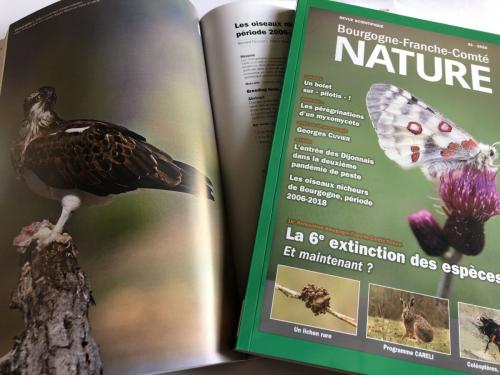 Parutions sp.