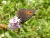 269459 – Photo : Andre Astric – France (68)