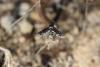 269399 – Photo : Simon Thevenin – France (13)