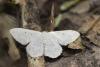 269691 – Photo : Simon Thevenin – France (04)
