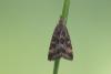 269263 – Photo : Simon Thevenin – France (04)