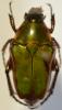 269494 – Photo : Christian Berquer – Madagascar