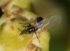 269103 – Photo : éric Pensa – France (13)