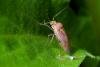 269848 – Photo : Christophe Quintin – France (22)