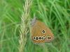 27987 – Photo : jeromebubu – France (33)