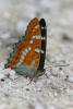 27978 – Photo : Daniel Morel – France (71)