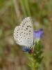 27950 – Photo : Jean-Yves Malmasson – France (26)