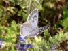 27954 – Photo : Jean-Yves Malmasson – France (26)