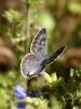 27953 – Photo : Jean-Yves Malmasson – France (26)