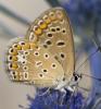 27710 – Photo : Nicolas – Croatie